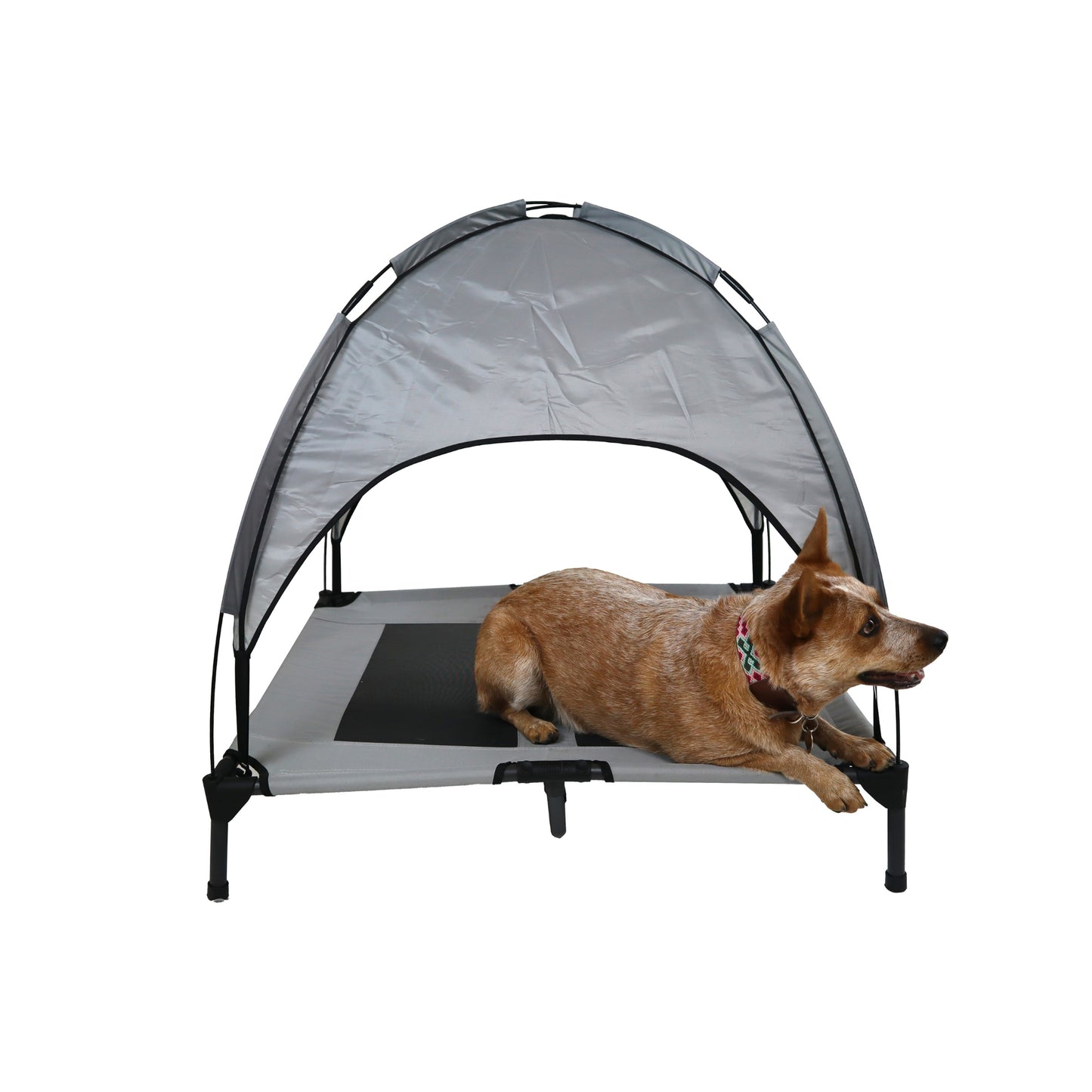Cama Elevada Para Perros Mascotas Fresca, Portátil Y Armable