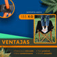 Silla Camping Plegable Ecomlab Portatil Para Exterior e Interior Ideal Playa, Picnic Extra-Cómoda GRATIS Bolsa Transportadora